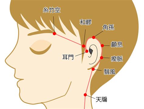 翼風穴|翳風穴位置 